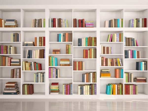 Bookshelf Assembly in Bear