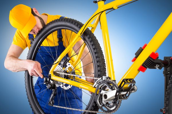 Bike Assembly in Bear