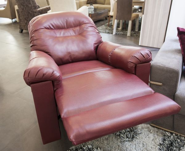 Recliner Assembly in Bear