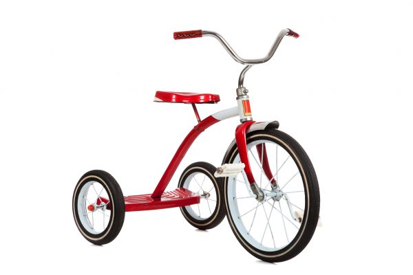 Tricycle Assembly in Bear