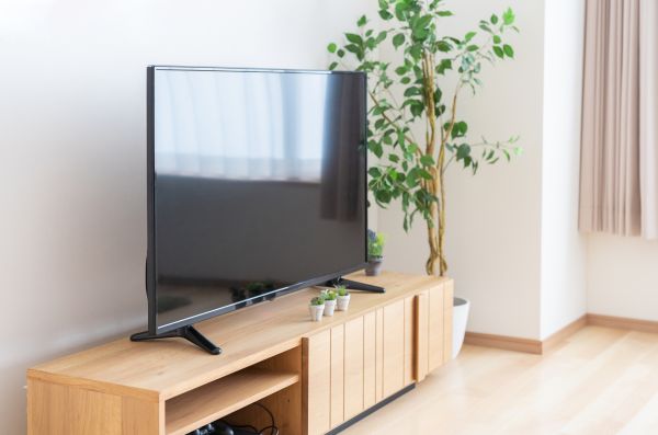 TV Stand Assembly in Bear