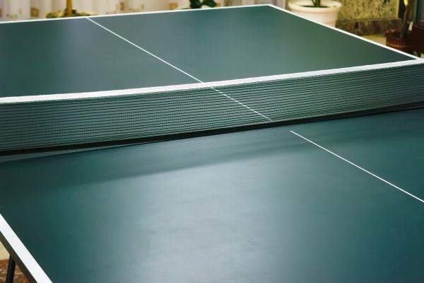 Ping Pong Table Assembly in Bear