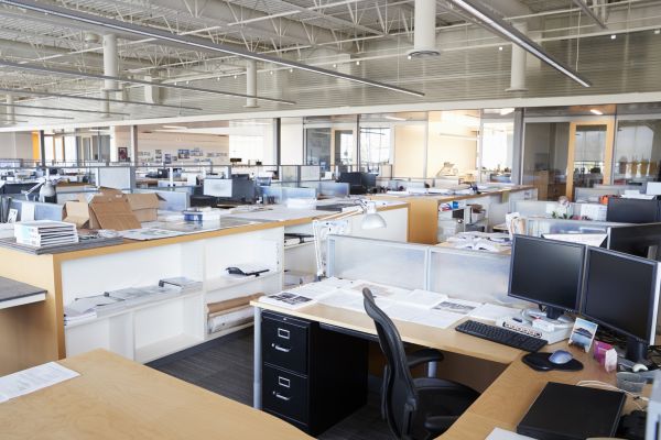 Workstation Assembly in Bear